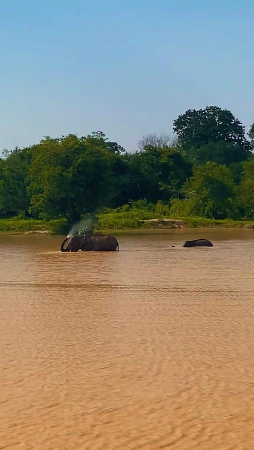 Elephant Paradise Safari Bungalow Udawalawe Kültér fotó
